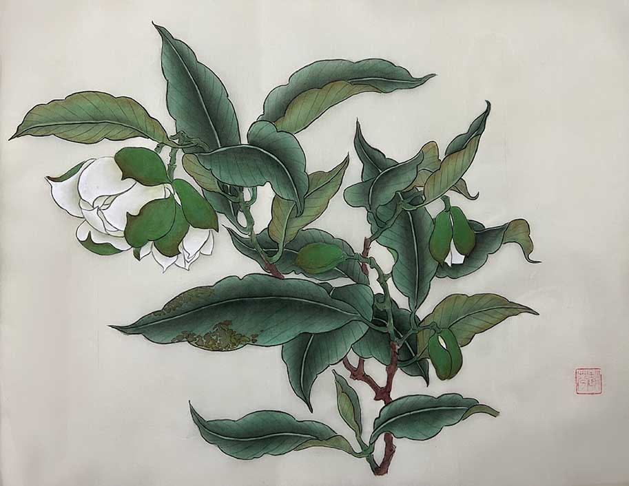 趙芬 作品